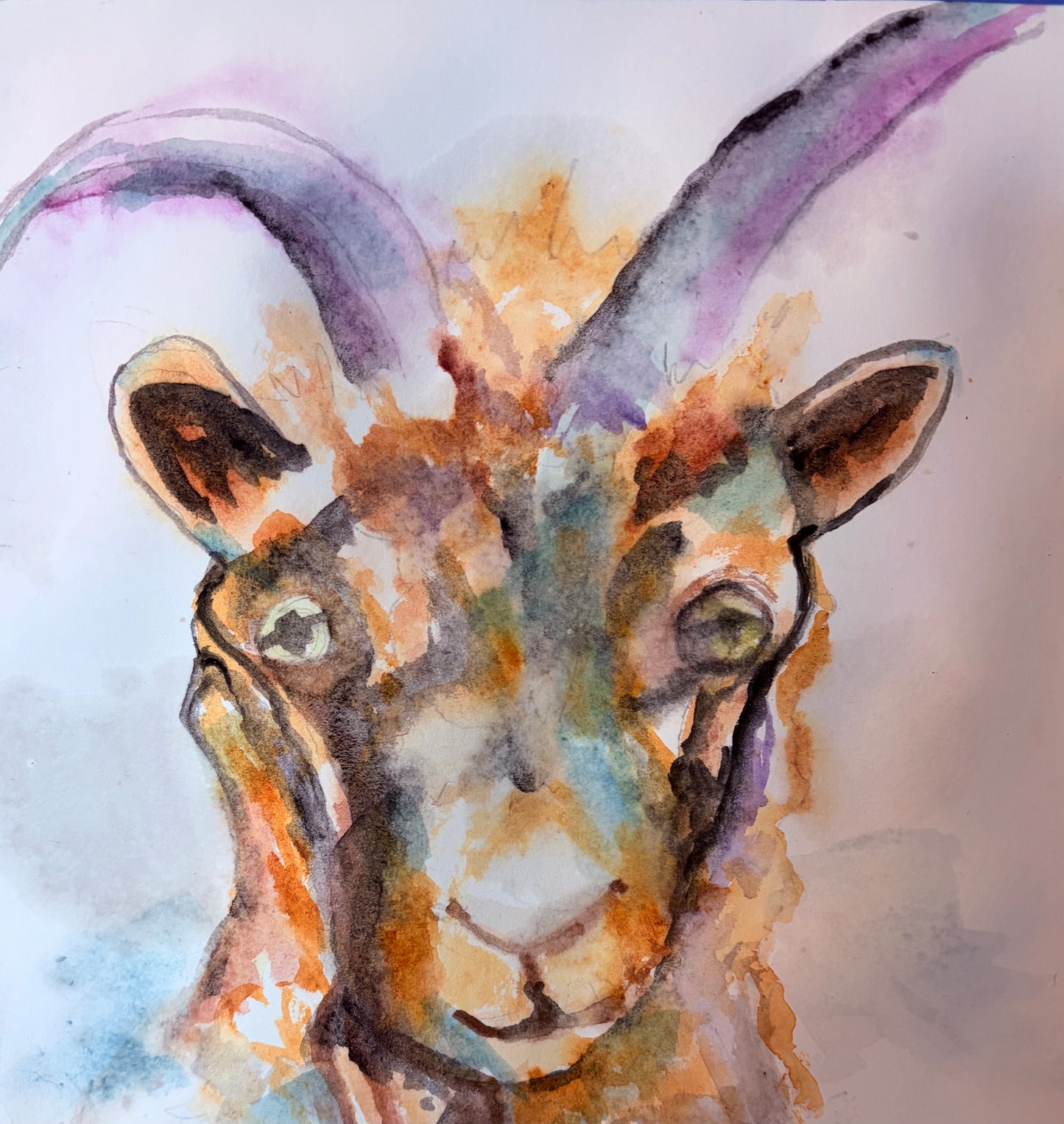 “The Happy Goat”